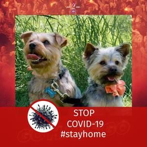 Meet your Posher, Dwaine